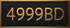 logo 4999BD
